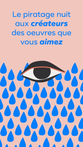 Campagne piratage et contrefaçon Meta mars 2023