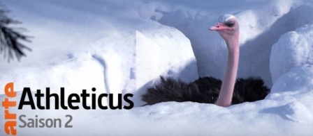 Athléticus Saison 2 Arte