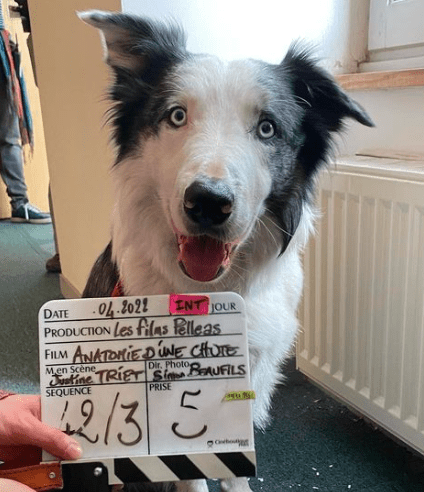 Messi sur le tournage d'« Anatomie d’une chute »