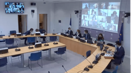 La commission des Affaires culturelles réunie en visio le 27 janvier