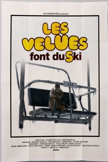 Les Velues font du ski