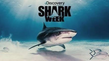 Discovery - Shark Week 