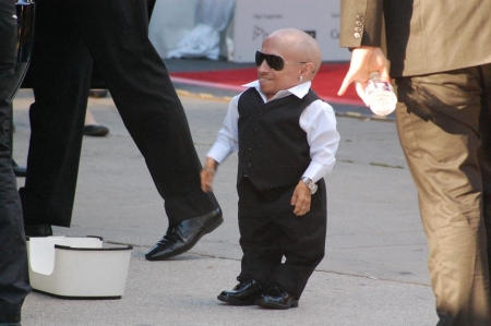 Verne Troyer est décédé à l'âge de 49 ans.