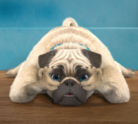 "Mike, une vie de chien", "Mighty Mike", TeamTO